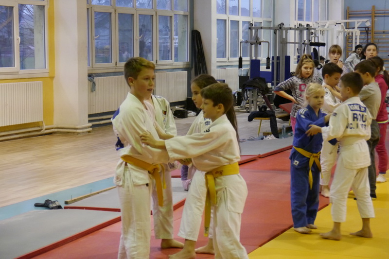 Read more about the article Judo – Galerie Imagini